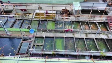 南和養殖場